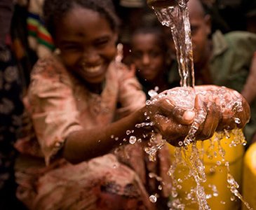 Charitybox WordPress Theme